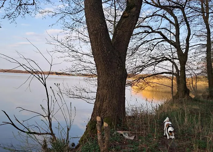 Mazury House Sailing & Vila *